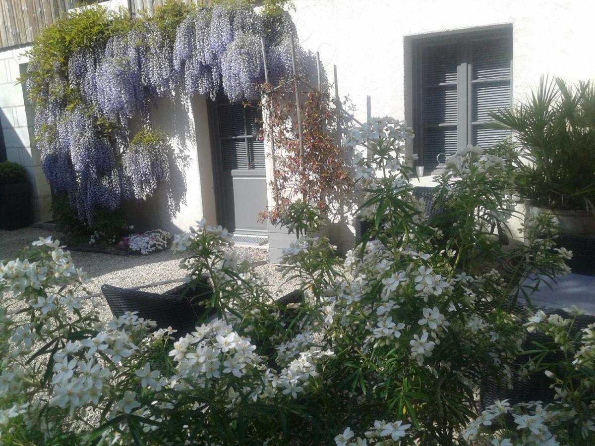 Chambres D'Hotes Rue Du Poids Bourgueil Ngoại thất bức ảnh